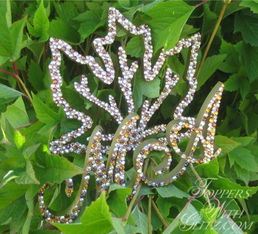 cake toppers initials. Maple leaf crystal cake topper